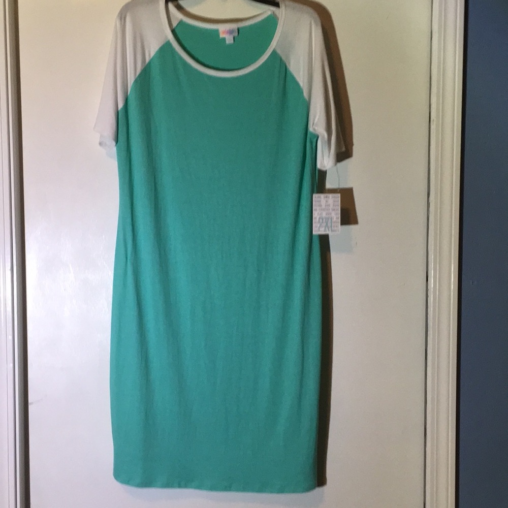 LuLaRoe Julia Dress